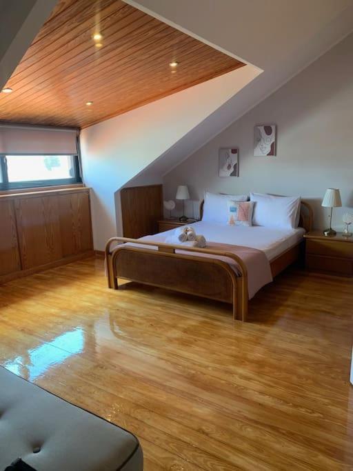 Attic View Palatia Apartment Nea Palatia ภายนอก รูปภาพ